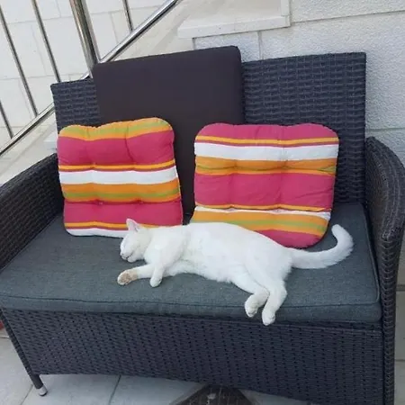 Апартаменты With A Parking Space - 22766 *